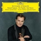 Richard Strauss - Richard Strauß (Hörbuch)