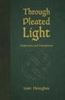 Liam Heneghan - Through Pleated Light