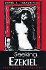 David J. Halperin - Seeking Ezekiel