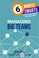Tony Llewellyn, Llewellyn Tony - Managing Big Teams