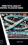 Sanjay Borde - From Total Quality Control to Lean Six Sigma