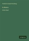 Friedrich Armand Strubberg - In Mexico