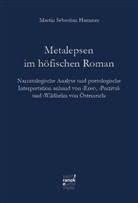 Martin Sebastian Hammer - Metalepsen im höfischen Roman