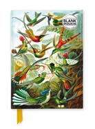 Flame Tree Publishing - Ernst Haeckel: Hummingbirds (Foiled Blank Journal)