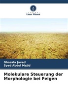 Ghazala Javed, Syed Abdul Majid - Molekulare Steuerung der Morphologie bei Feigen