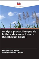 Nurulain Jalillah Paiman, Krishna Veni Veloo - Analyse phytochimique de la fleur de canne à sucre (Saccharum Edule)