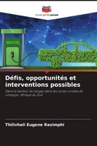 Thilivhali Eugene Rasimphi - Défis, opportunités et interventions possibles
