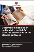 Govindappa Manjunath, Vindyashree Marrisiddaiah - Détection biologique et moléculaire du SuLCV dans les adventices et les plantes cultivées