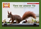 Tiere vor unserer Tür / Kamishibai Bildkarten