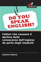 Bulelwa Makena - Fattori che causano il declino della conoscenza dell'inglese da parte degli studenti