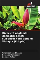Zemede Asfaw, Sebsebe Demissew, Talemos Seta Shanka - Diversità negli orti domestici basati sull'Enset nella zona di Wolayta (Etiopia)
