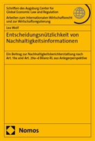 Lea Wolf - Entscheidungsnützlichkeit von Nachhaltigkeitsinformationen