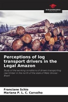 Mariana P. L. C. Carvalho, Franciane Schio - Perceptions of log transport drivers in the Legal Amazon