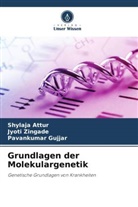 Shylaja Attur, Pavankumar Gujjar, Jyoti Zingade - Grundlagen der Molekulargenetik