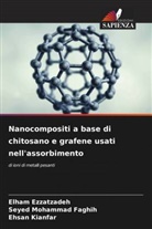 Elham Ezzatzadeh, Ehsan Kianfar, Seyed Mohammad Faghih - Nanocompositi a base di chitosano e grafene usati nell'assorbimento