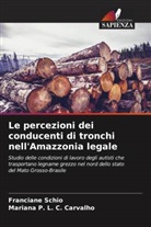 Mariana P. L. C. Carvalho, Franciane Schio - Le percezioni dei conducenti di tronchi nell'Amazzonia legale