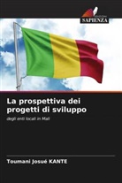 Toumani Josué Kante - La prospettiva dei progetti di sviluppo
