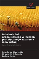 M. Luiza M. A. Frigerio, Luciana Corrêa, Natasha da Silva Leitão - Dzialanie zelu propolisowego w leczeniu protetycznego zapalenia jamy ustnej