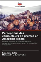Mariana P. L. C. Carvalho, Franciane Schio - Perceptions des conducteurs de grumes en Amazonie légale