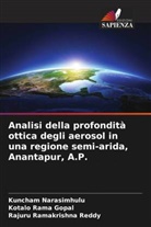 Kuncham Narasimhulu, Kotalo Rama Gopal, Rajuru Ramakrishna Reddy - Analisi della profondità ottica degli aerosol in una regione semi-arida, Anantapur, A.P.