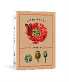 The New York Botanical Garden - Seeds and Pods