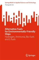 Youngsub Lim - Alternative Fuels for Environmentally-Friendly Ships