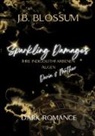 J B Blossum, J. B. Blossum - Sparkling Damages