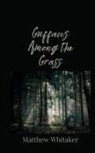 Matthew Whitaker - Guffaws Among the Grass