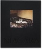 Alec Soth - Niagara