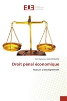 Prof. Sylvanus MUSHI BONANE, Sylvanus Mushi Bonane - Droit pénal économique
