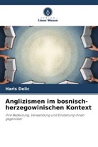 Haris Delic - Anglizismen im bosnisch-herzegowinischen Kontext