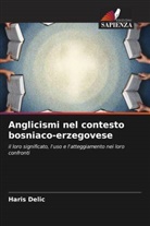 Haris Delic - Anglicismi nel contesto bosniaco-erzegovese