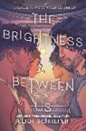 Eliot Schrefer - The Brightness Between Us