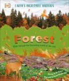 DK, Derek Harvey, Harvey Derek - Forest