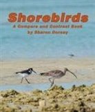 Sharon Dorsey - Shorebirds