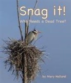 Mary Holland - Snag It