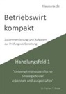 Michael Fischer, Thomas Weber - Betriebswirt kompakt Handlungsfeld 1