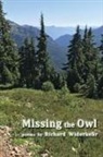 Richard Widerkehr - Missing the Owl