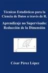 CESAR, César Pérez López - Técnicas Estadísticas para la Ciencia de Datos a través de R. Aprendizaje no Supervisado