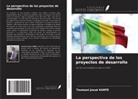 Toumani Josué Kante - La perspectiva de los proyectos de desarrollo
