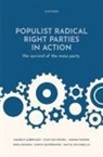 Daniele (Professor of Politics Albertazzi, Albertazzi Daniele, Adrian Favero, Niko Hatakka, Niko T. Hatakka, Judith Sijstermans... - Populist Radical Right Parties in Action