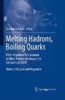 Johann Rafelski - Melting Hadrons, Boiling Quarks - From Hagedorn Temperature to Ultra-Relativistic Heavy-Ion Collisions at CERN