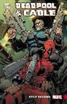 Nicieza Fabian - Deadpool & Cable: Split Second