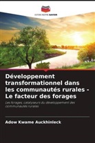 Adow Kwame Auckhinleck - Développement transformationnel dans les communautés rurales - Le facteur des forages