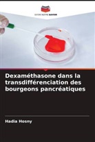 Hadia Hosny - Dexaméthasone dans la transdifférenciation des bourgeons pancréatiques