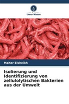 Maher Elsheikh - Isolierung und Identifizierung von zellulolytischen Bakterien aus der Umwelt