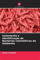 Maher Elsheikh - Isolamento e Identificação de Bactérias Celulolíticas do Ambiente