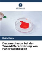 Hadia Hosny - Dexamethason bei der Transdifferenzierung von Pankreasknospen