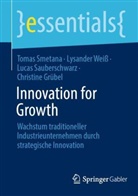 Christine Grübel, Luca Sauberschwarz, Lucas Sauberschwarz, Tomas Smetana, Lysander Weiß - Innovation for Growth