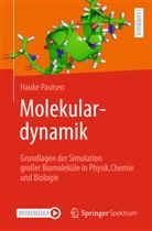 Hauke Paulsen - Molekulardynamik